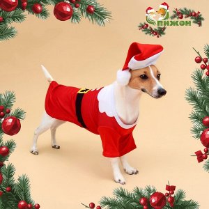 Толстовка для собак с колпаком Santa, S (ДС 25, ОГ 35 см)