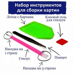 Z-305х Картина (Безмятежность) Алмазная мозаика 45×30см, 32 цвета