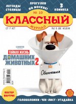 КЛАССНЫЙ ЖУРНАЛ 10/19 Тайная жизнь ДОМАШНИХ ЖИВОТНЫХ 2