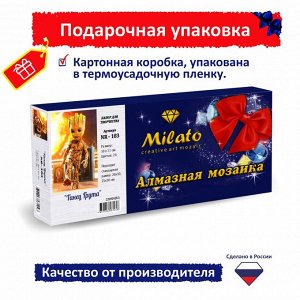 NR-183 Картина (Танец Грута) Алмазная мозаика 29.5×20.5см, 24 цвета