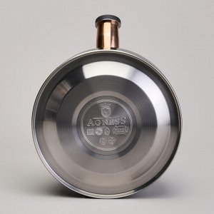 Чайник AGNESS Premium Steel 2,5 л со свистком и складной ручкой для всех видов плит, индукция, 1 шт.