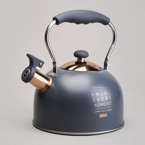 Чайник AGNESS Premium Steel 2,5 л со свистком и складной ручкой для индукционных плит, 1 шт.