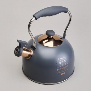 Чайник AGNESS Premium Steel 2,5 л со свистком и складной ручкой для индукционных плит, 1 шт.
