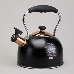 Чайник AGNESS Premium Steel 2,5 л со свистком и складной ручкой для всех видов плит, индукция, 1 шт.
