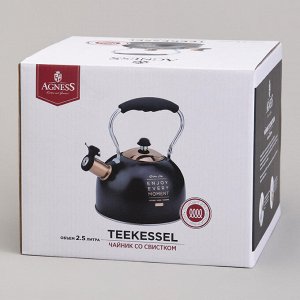 Чайник AGNESS Premium Steel 2,5 л со свистком и складной ручкой для всех видов плит, индукция, 1 шт.