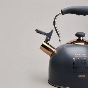 Чайник AGNESS Premium Steel 2,5 л со свистком и складной ручкой для индукционных плит, 1 шт.
