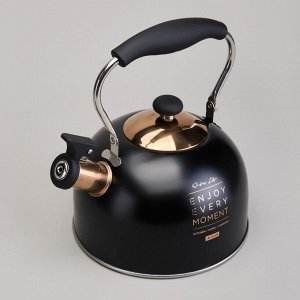 Чайник AGNESS Premium Steel 2,5 л со свистком и складной ручкой для всех видов плит, индукция, 1 шт.