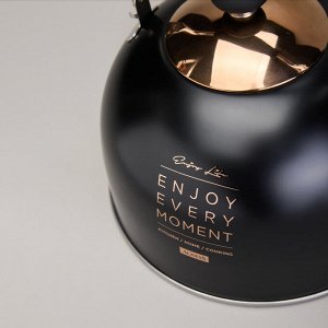 Чайник AGNESS Premium Steel 2,5 л со свистком и складной ручкой для всех видов плит, индукция, 1 шт.