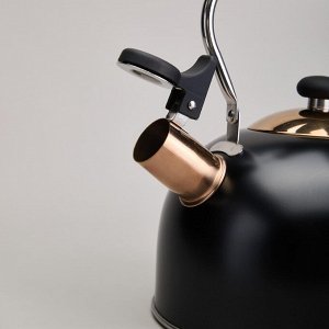 Чайник AGNESS Premium Steel 2,5 л со свистком и складной ручкой для всех видов плит, индукция, 1 шт.