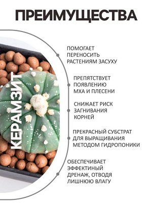 Дренаж Керамзит "Рецепты Дедушки Никиты" фр 10-20, 1 л