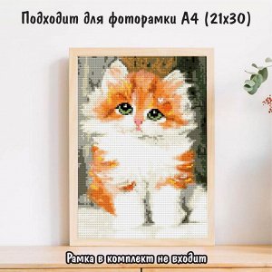NR-146т Картина (Рыжий котенок) Алмазная мозаика 29.5x20.5см, 25 цветов