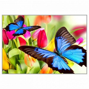 NR-143т Картина (Бабочки и тюльпаны) Алмазная мозаика 29.5x20.5см, 28 цветов