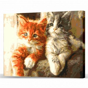 RP3-004 Картина "Котики братики" автор Калиновская Е.М.(Рисование по номерам ) 30х40,24цв.сложность 4.