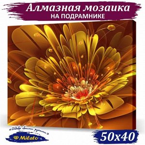 ML-19 Алмазная мозаика на подрамнике (Золотая фантазия) 50x40см, 35 цветов