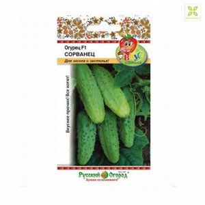 Огурец Сорванец F1 Вкуснятина ЦВ/П (НК) 12шт скороспелый