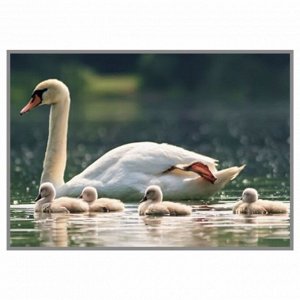 NR-46 Картина (Семья на прогулке) Алмазная мозаика 29.5x20.5см, 24 цветов