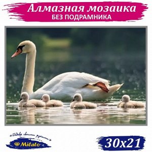 NR-46 Картина (Семья на прогулке) Алмазная мозаика 29.5x20.5см, 24 цветов