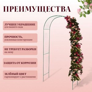 Арка садовая, 230x125x50 см, для вьющихся растений, металлическая, зелёная, «Сетка», Greengo
