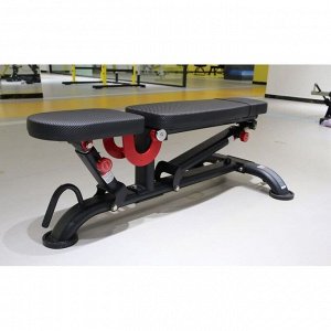 Скамья универсальная Insight Fitness TS212