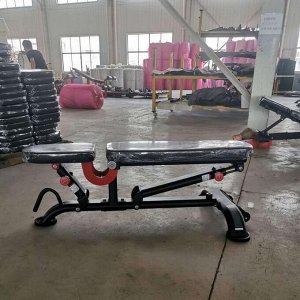 Скамья универсальная Insight Fitness TS212