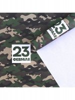 Бумага крафт 50 х70 см 23 февраля хаки 1/10