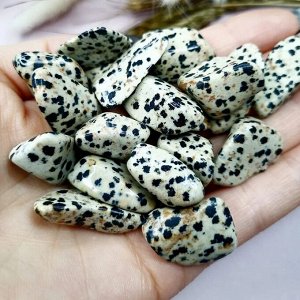 Яшма Далматиновая, Пятнистая ,1шт, натуральный камень