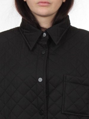 H24-018 BLACK Куртка демисезонная женская (100 гр. холлофайбер)