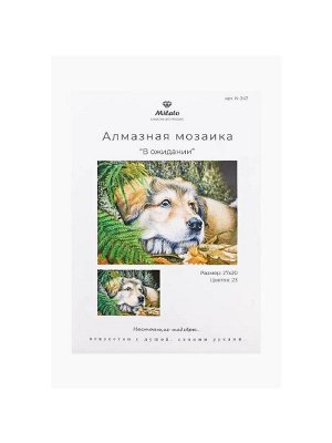 N-247х Картина (В ожидании) Алмазная мозаика 27x20см, 23 цвета