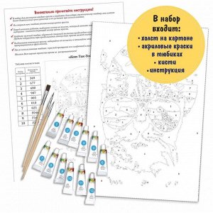 Рисование по номерам  Картина "Кот Тик-Ток"