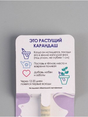 Растущий карандаш подарочный «Лаванда. Я люблю лаванду», mini, простой чернографитный