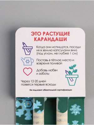 Набор для выращивания, карандаши подарочные новогодние «Голубая Ель + Сосна», mini, простые чернографитные, 2 шт.