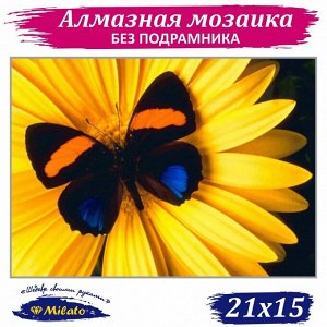SM-002 Картина (Бабочка) Алмазная мозаика 20х14см, 18 цветов