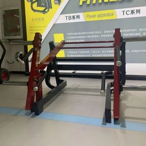 Присед/становая тяга Insight Fitness TM08