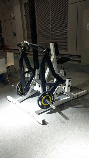 Нижняя тяга с упором в грудь независимая Insight Fitness TM06