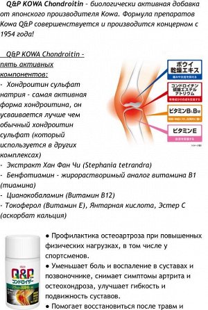 K&P Kowa Chondroiser Ходндроитиновый комплекс180 шт
