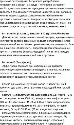 K&P Kowa Chondroiser Ходндроитиновый комплекс180 шт