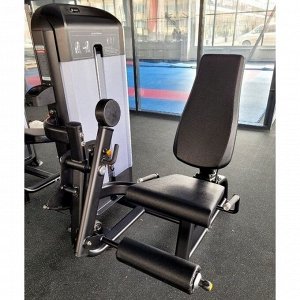 Разгибание ног Insight Fitness TF13