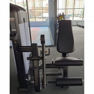 Разгибание ног Insight Fitness TF13