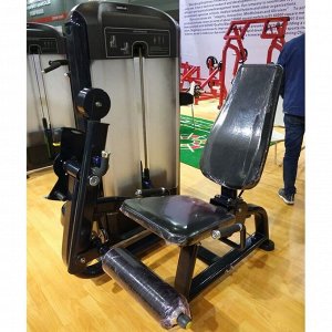 Разгибание ног Insight Fitness TF13
