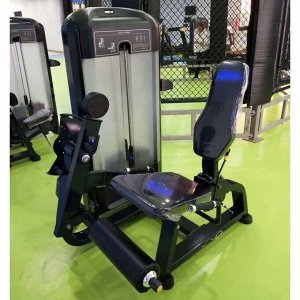 Разгибание ног Insight Fitness TF13