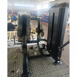 Сгибание/разгибание ног Insight Fitness TF25