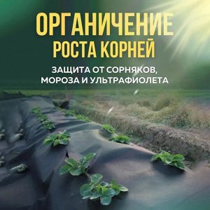 Спанбонд укрывной 60 мкм, №60, 3.2х10 м, Агроспан, черный