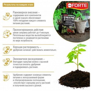 Удобрение Наноудобрение, для рассады и растений, проллонгированное, пакет, минеральный, гранулы, 100 г, Bona Forte