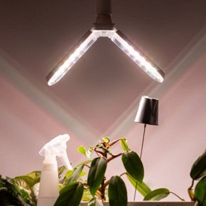 Лампа светодиодная для растений, E27, 20 Вт, 220-240 В, IP20, Эра, ФИТО-20W-PFR-E27-GR, Б0064520