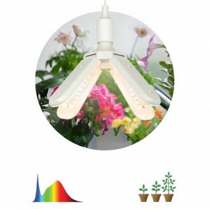 Лампа светодиодная для растений, E27, 36 Вт, 220-240 В, IP20, Эра, FITO-36W-Rа90-E27-FOLD, Б0061430