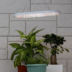 Светильник подвесной светодиодный д/растен, 25 Вт, 100-240 В, Эра, Фито FITO-25W-QLED-FLY, Б0053062