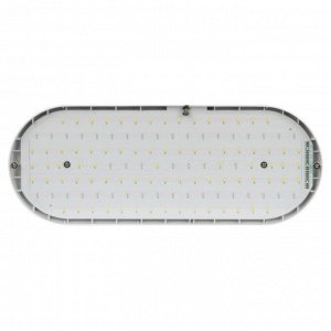 Светильник подвесной светодиодный д/растен, 25 Вт, 100-240 В, Эра, Фито FITO-25W-QLED-FLY, Б0053062
