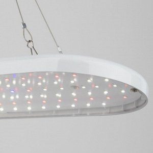 Светильник подвесной светодиодный д/растен, 25 Вт, 100-240 В, Эра, Фито FITO-25W-QLED-FLY, Б0053062