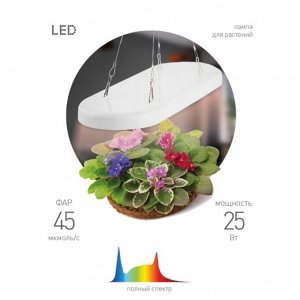 Светильник подвесной светодиодный д/растен, 25 Вт, 100-240 В, Эра, Фито FITO-25W-QLED-FLY, Б0053062