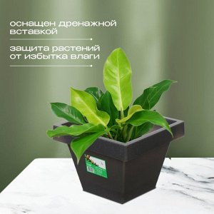 Кашпо пластик, 1.5 л, 14.5х12.5 см, черный гранит, Darel, Квадро, 50701